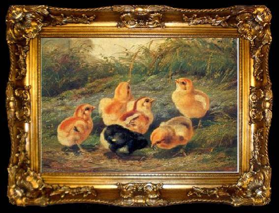 framed  unknow artist chickens 196, ta009-2